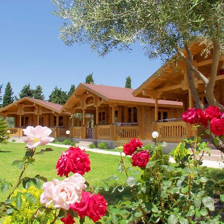 Sandy'S Studios Apartments & Log-Villas İstanköy Dış mekan fotoğraf